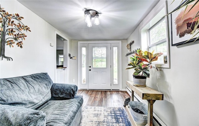 foyer entrance featuring hardwood / wood-style flooring