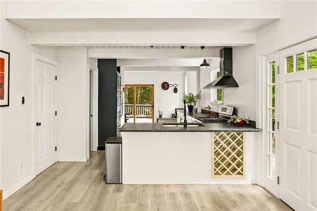 kitchen with ventilation hood, light hardwood / wood-style flooring, a wealth of natural light, and stainless steel stove