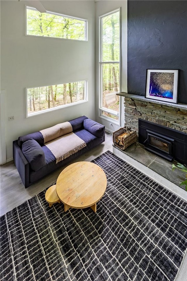 living room with hardwood / wood-style flooring, plenty of natural light, and a fireplace