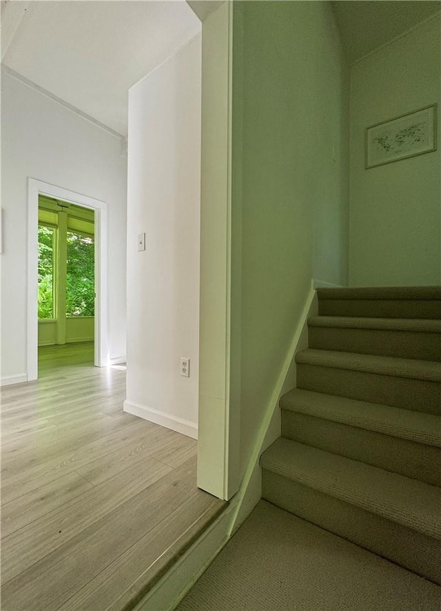 staircase featuring wood-type flooring