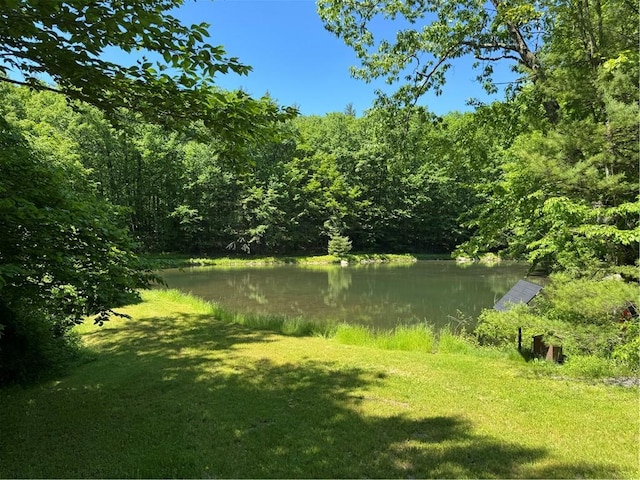 view of water feature