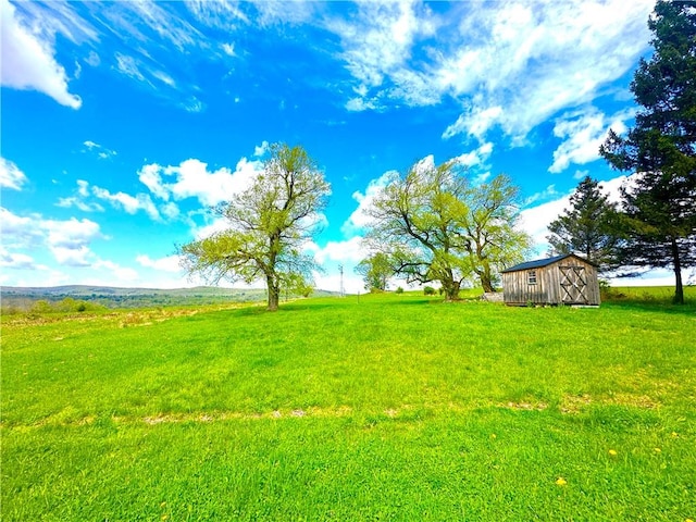 view of yard featuring a rural view and a storage unit