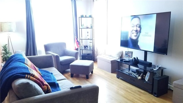 living room featuring light hardwood / wood-style flooring