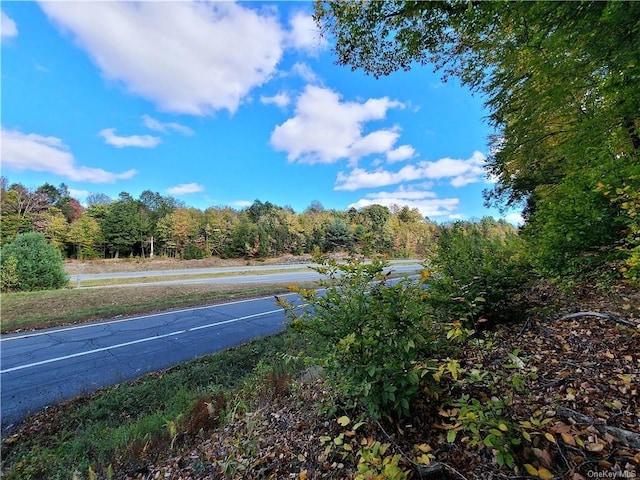 LOT5.4 Kaufman Rd, Monticello, NY 12701 - photo 5