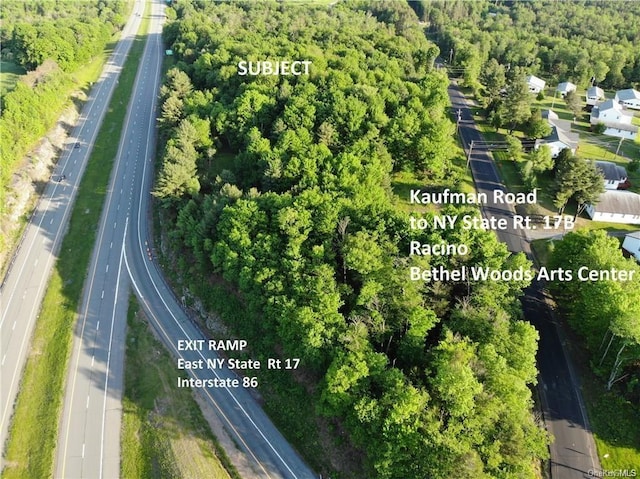 LOT5.4 Kaufman Rd, Monticello, NY 12701 - photo 1