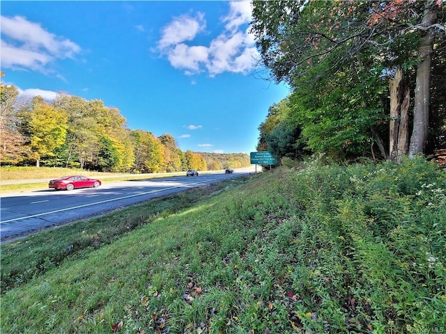 LOT5.4 Kaufman Rd, Monticello, NY 12701 - photo 7