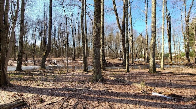 LOT5.4 Kaufman Rd, Monticello, NY 12701 - photo 10