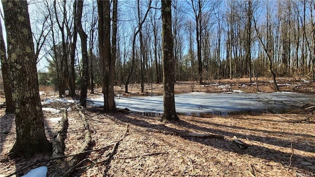 LOT5.4 Kaufman Rd, Monticello, NY 12701 - photo 11