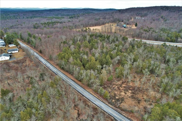 LOT5.4 Kaufman Rd, Monticello, NY 12701 - photo 13