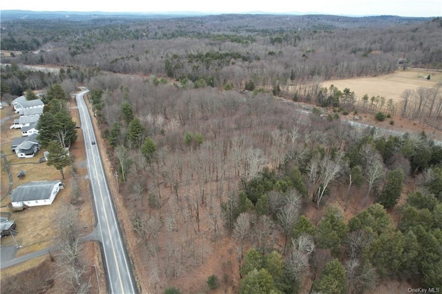 LOT5.4 Kaufman Rd, Monticello, NY 12701 - photo 15