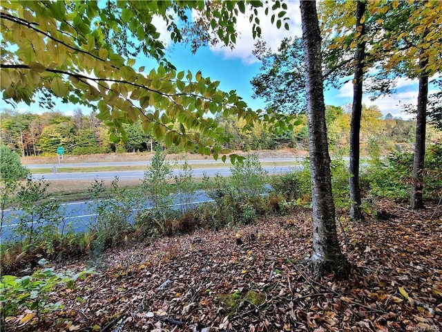 LOT5.4 Kaufman Rd, Monticello, NY 12701 - photo 18