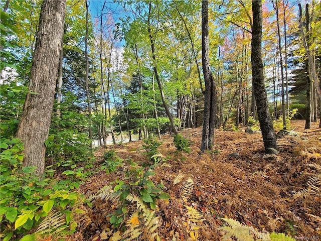 LOT5.4 Kaufman Rd, Monticello, NY 12701 - photo 19