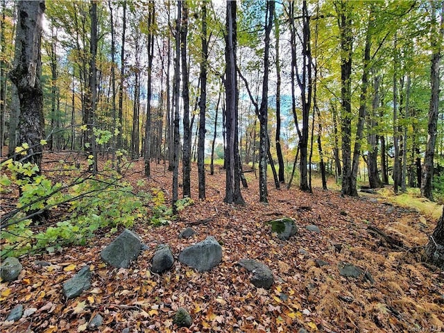 LOT5.4 Kaufman Rd, Monticello, NY 12701 - photo 20