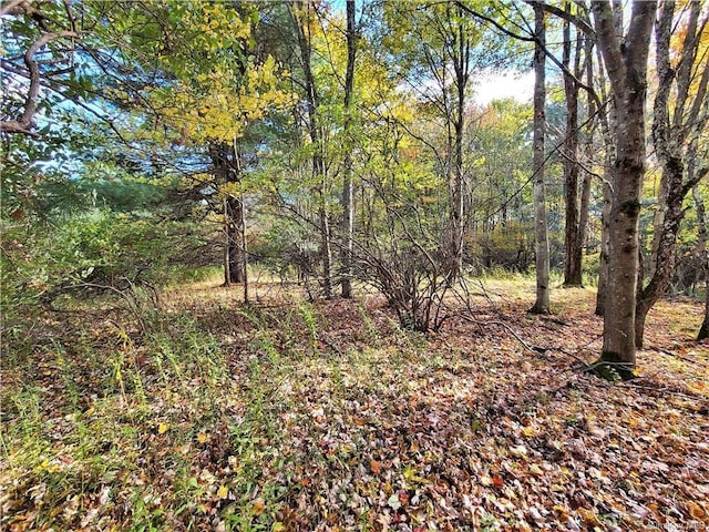 LOT5.4 Kaufman Rd, Monticello, NY 12701 - photo 21