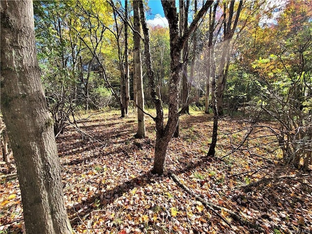 LOT5.4 Kaufman Rd, Monticello, NY 12701 - photo 22