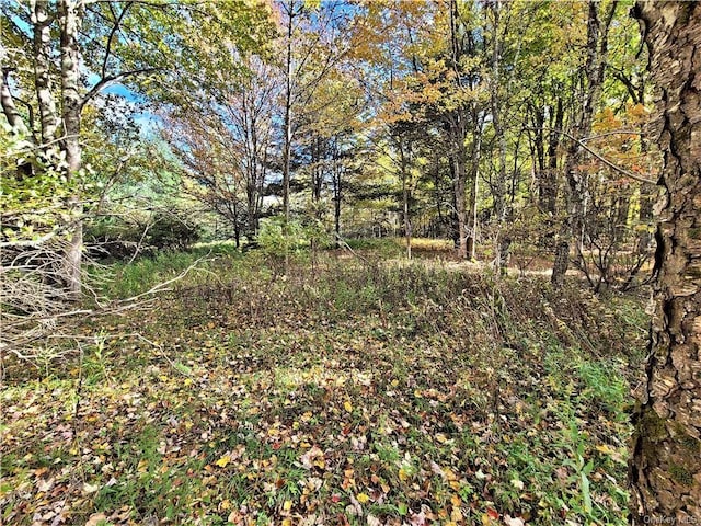 LOT5.4 Kaufman Rd, Monticello, NY 12701 - photo 23