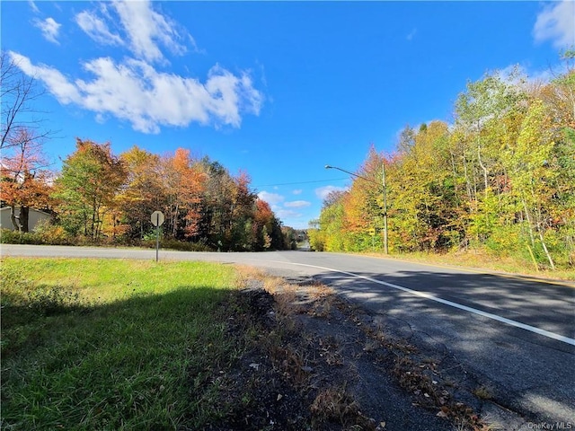 LOT5.4 Kaufman Rd, Monticello, NY 12701 - photo 25