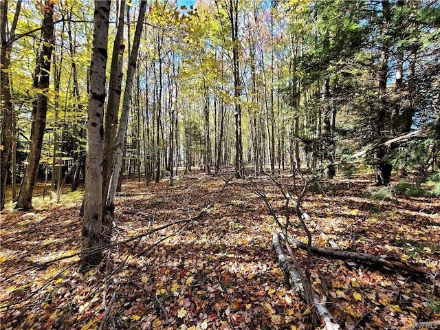 LOT5.4 Kaufman Rd, Monticello, NY 12701 - photo 26