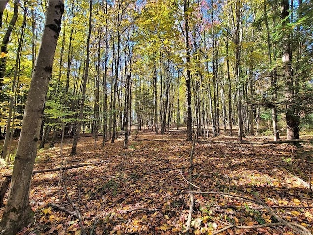 LOT5.4 Kaufman Rd, Monticello, NY 12701 - photo 27