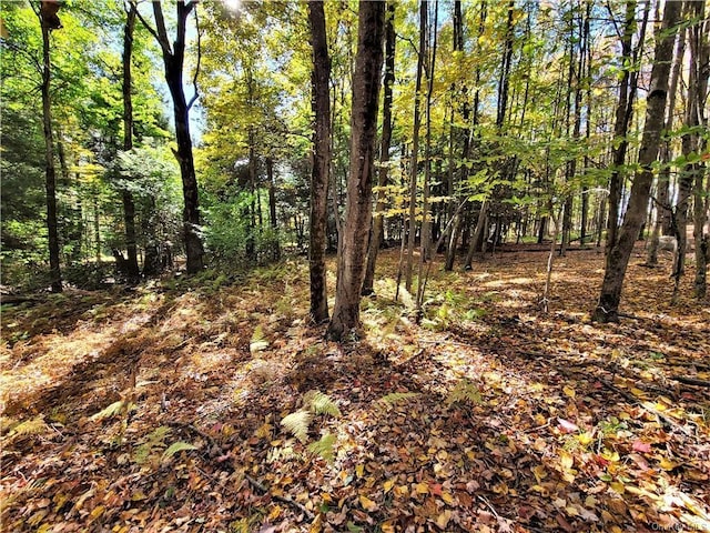 LOT5.4 Kaufman Rd, Monticello, NY 12701 - photo 28
