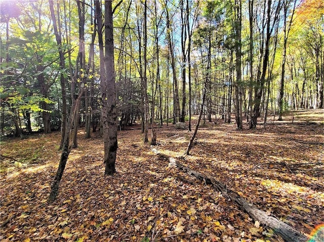 LOT5.4 Kaufman Rd, Monticello, NY 12701 - photo 29