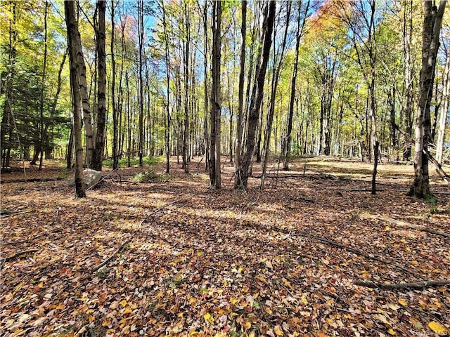 LOT5.4 Kaufman Rd, Monticello, NY 12701 - photo 30