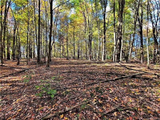LOT5.4 Kaufman Rd, Monticello, NY 12701 - photo 31