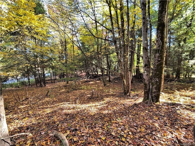 LOT5.4 Kaufman Rd, Monticello, NY 12701 - photo 32