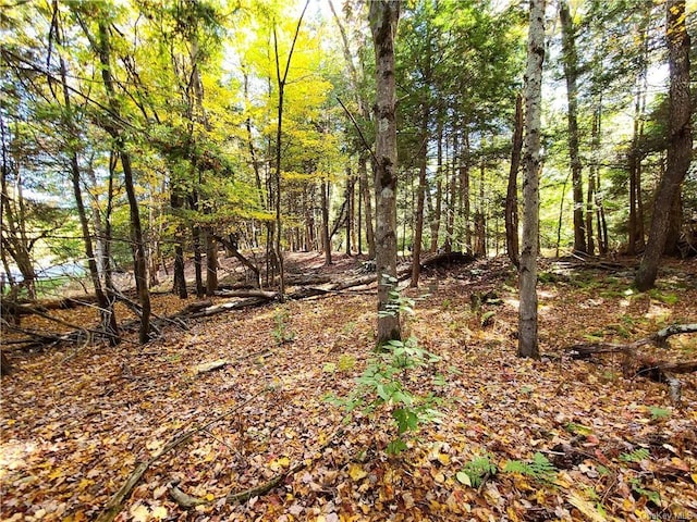 LOT5.4 Kaufman Rd, Monticello, NY 12701 - photo 33