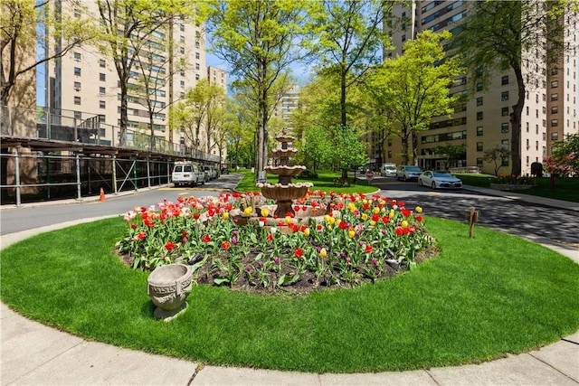 view of property's community featuring a lawn