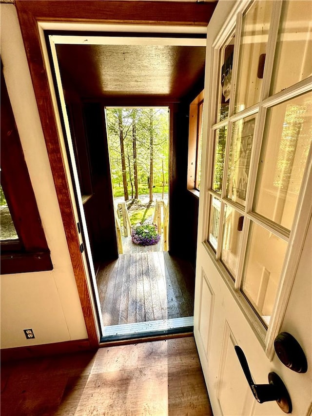 doorway featuring dark hardwood / wood-style floors