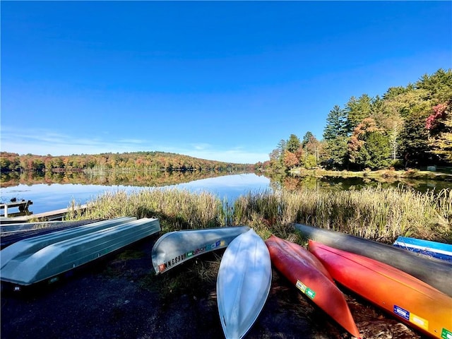 view of dock with a water view