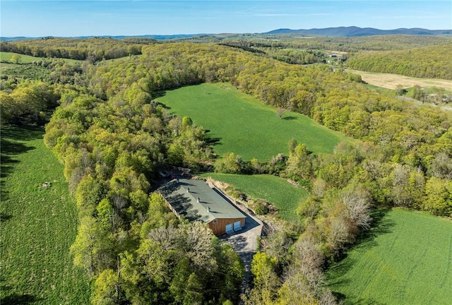 drone / aerial view featuring a mountain view