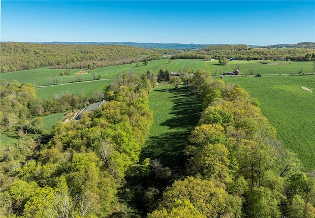 bird's eye view with a rural view