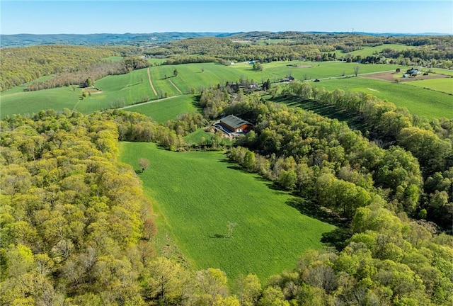 bird's eye view featuring a rural view