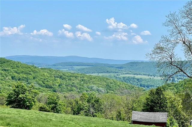 view of mountain feature