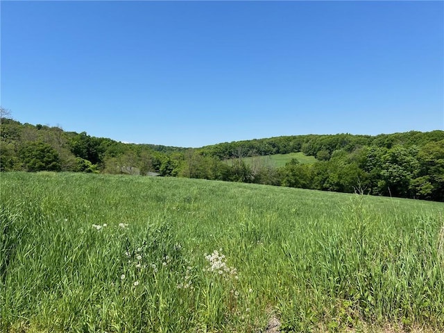 view of local wilderness featuring a rural view