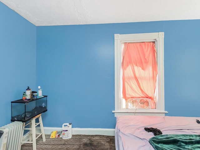 carpeted bedroom featuring radiator heating unit