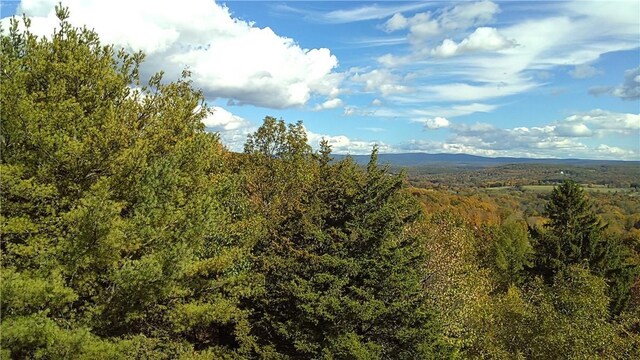 County Rte 7, Ancram, NY 12567 - photo 1