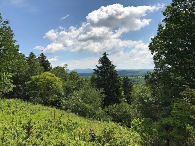 County Rte 7, Ancram, NY 12567 - photo 2