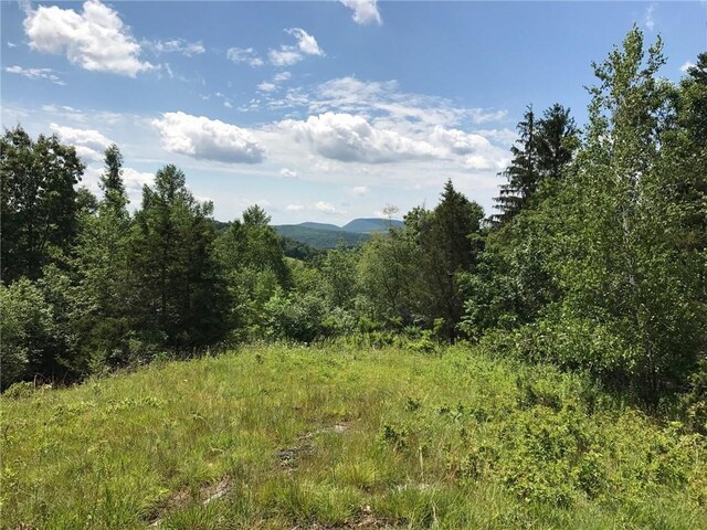 County Rte 7, Ancram, NY 12567 - photo 4