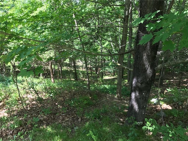 County Rte 7, Ancram, NY 12567 - photo 8