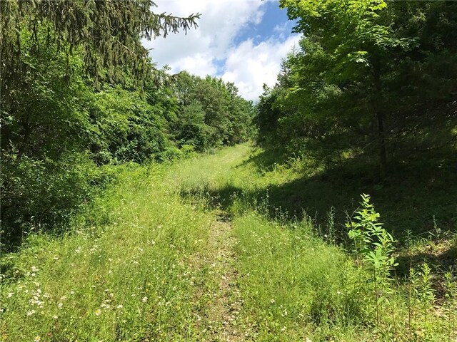 County Rte 7, Ancram, NY 12567 - photo 10