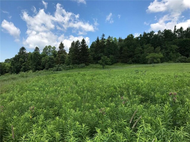 County Rte 7, Ancram, NY 12567 - photo 11