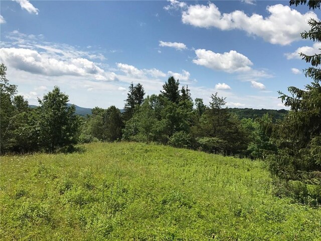 County Rte 7, Ancram, NY 12567 - photo 15