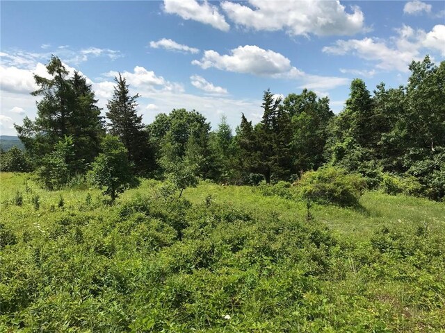 County Rte 7, Ancram, NY 12567 - photo 17