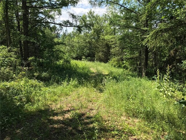 County Rte 7, Ancram, NY 12567 - photo 19
