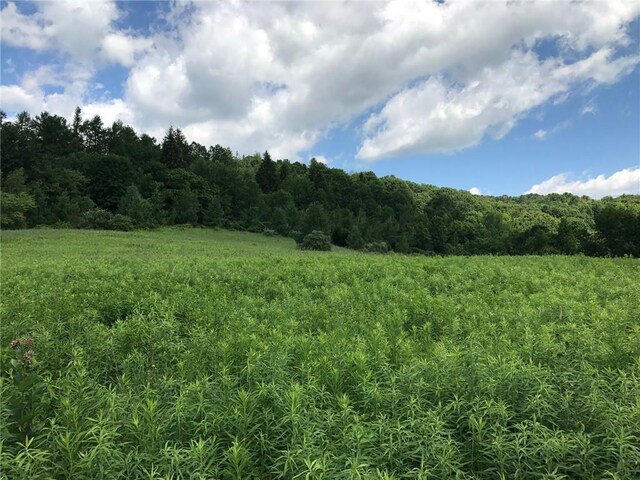County Rte 7, Ancram, NY 12567 - photo 20