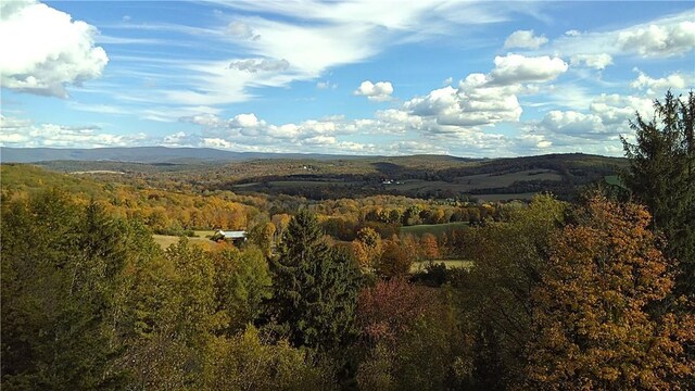 County Rte 7, Ancram, NY 12567 - photo 21