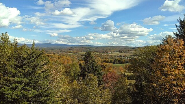County Rte 7, Ancram, NY 12567 - photo 22